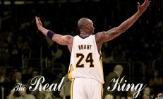 开云足球直播-赛道上的权力更迭，红牛碾压法拉利，诺里斯点燃赛场