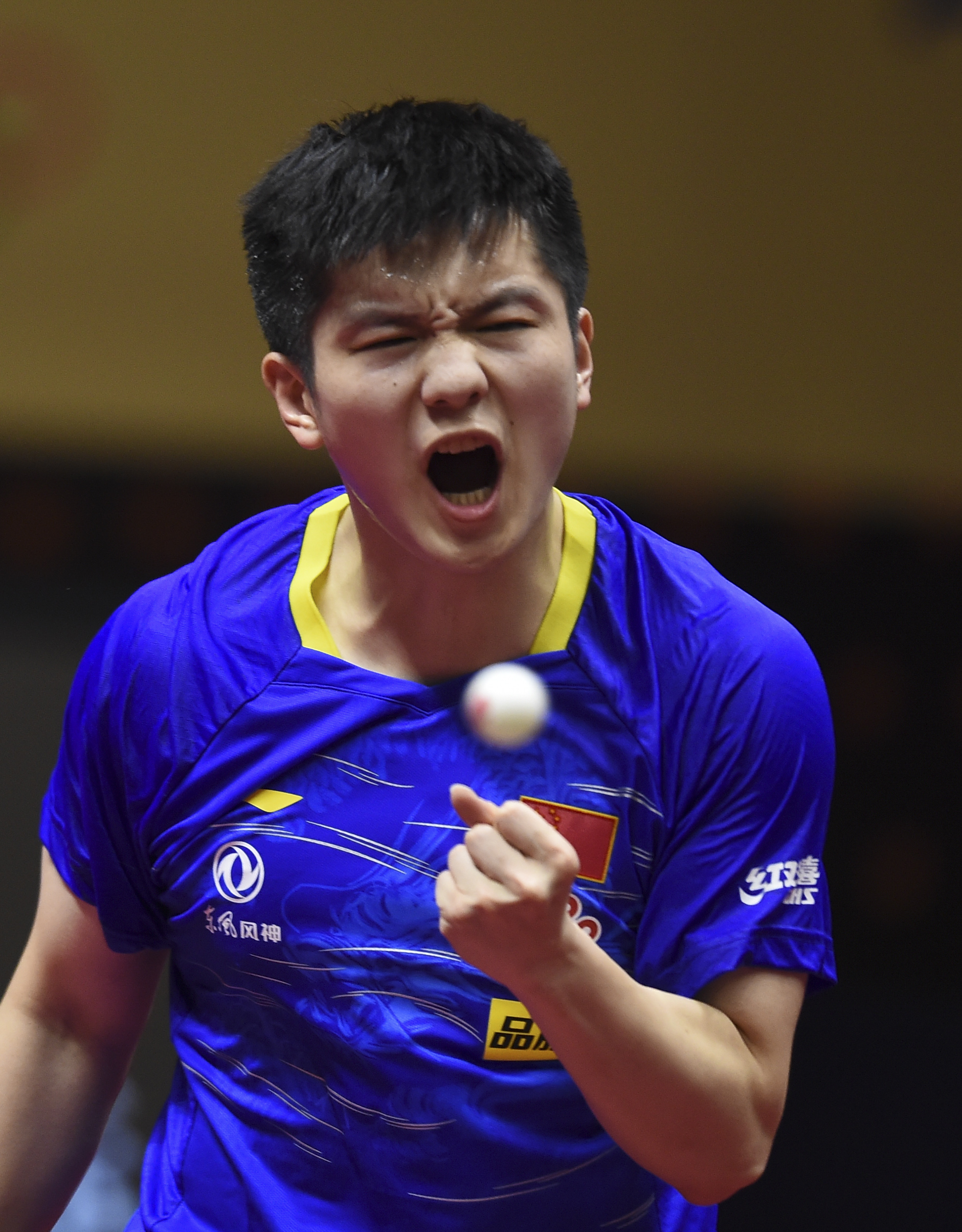 关于奥地利乒乓球队绝杀中国乒乓球队，樊振东高光表现的信息