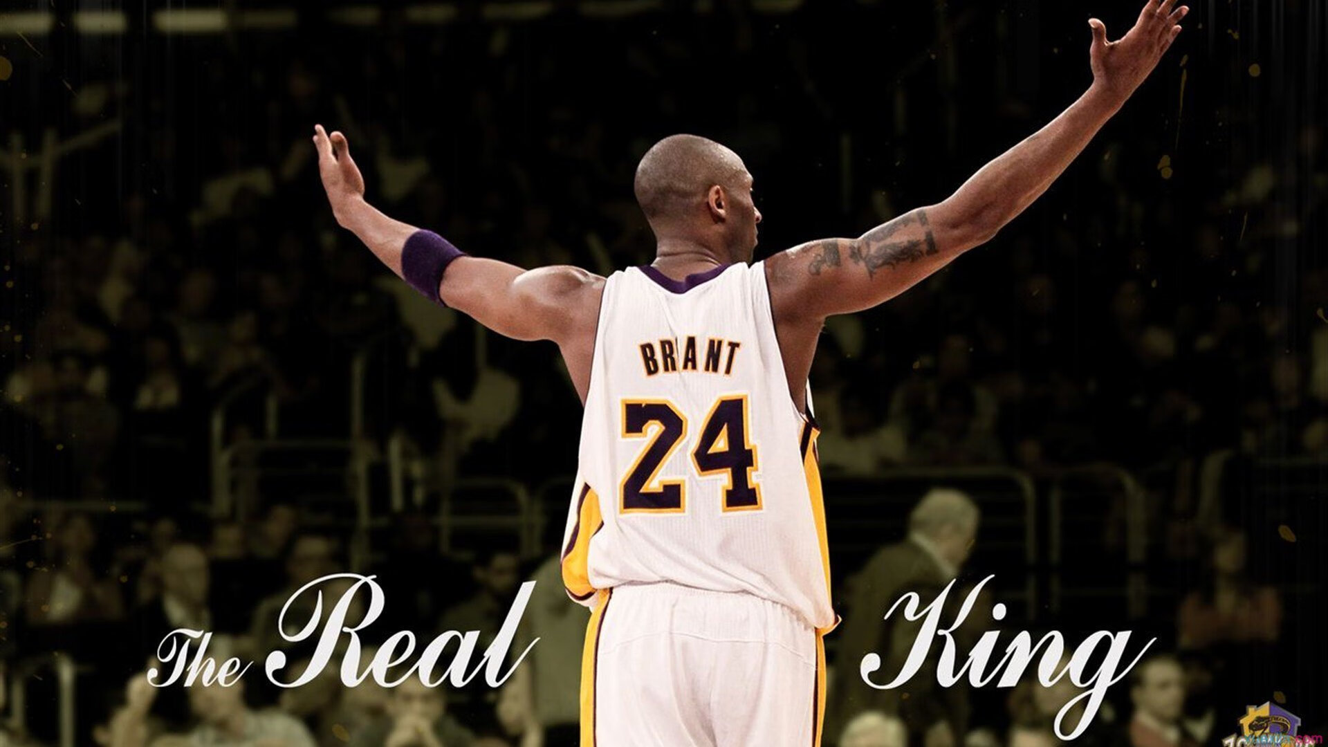 赛道上的权力更迭，红牛碾压法拉利，诺里斯点燃赛场